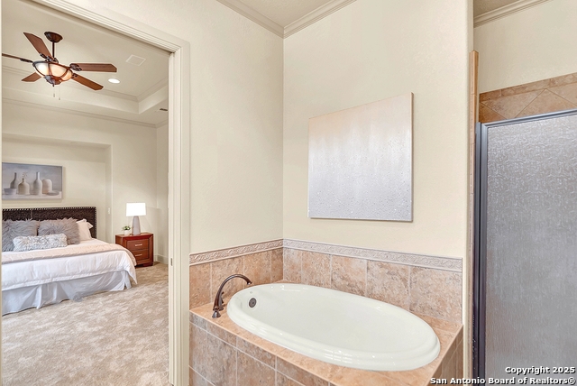 1320 Gruene Leaf Property Photo 32