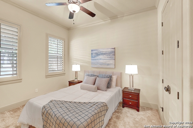1320 Gruene Leaf Property Photo 35