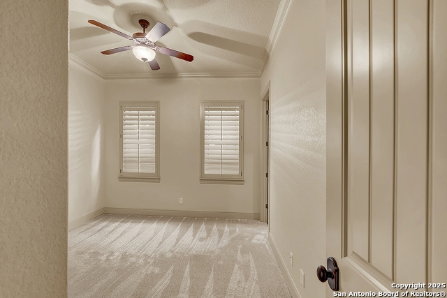 1320 Gruene Leaf Property Photo 38