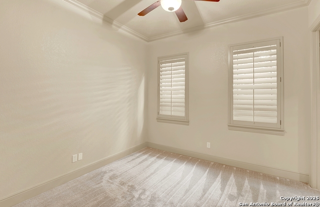 1320 Gruene Leaf Property Photo 39