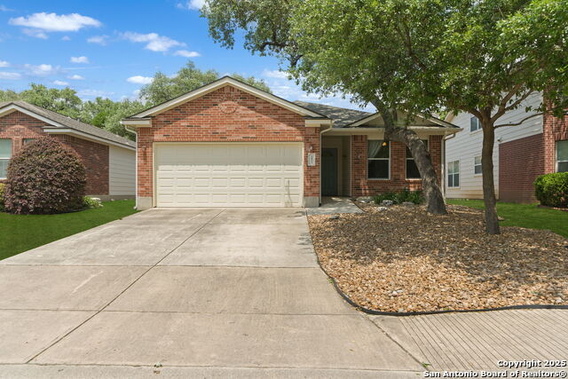 3971 Alpine Aster Property Photo