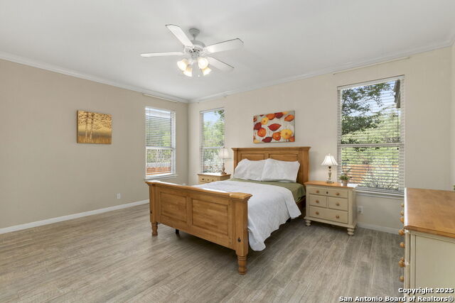 23003 Tornillo Drive Property Photo 18