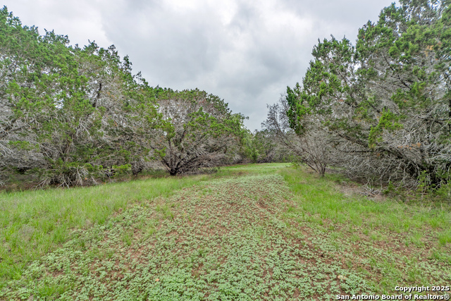Tbd 37 Acres Elm Pass Property Photo 10