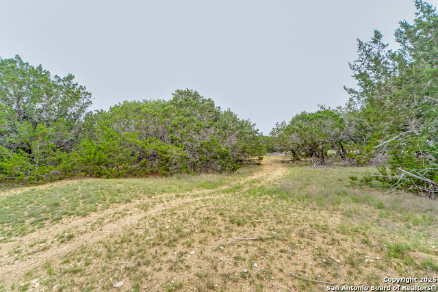 Tbd 37 Acres Elm Pass Property Photo 14