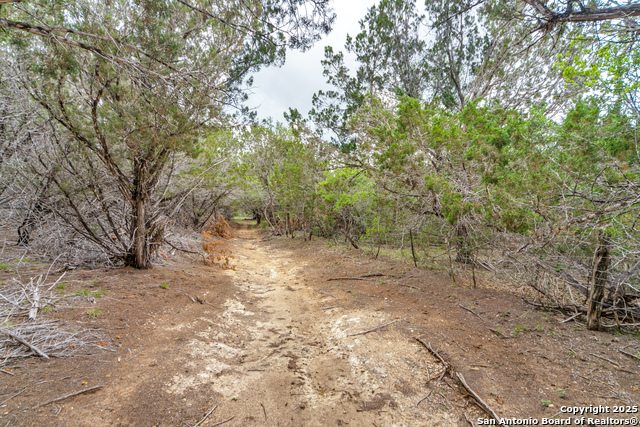 Tbd 37 Acres Elm Pass Property Photo 15