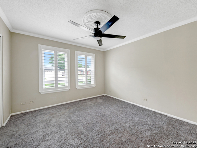 121 Meadow Property Photo 15