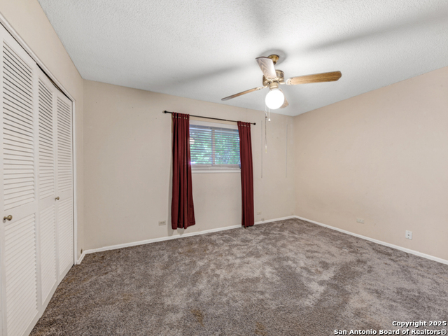 121 Meadow Property Photo 19