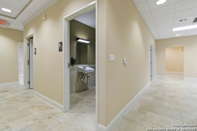 3519 Paesanos Property Photo 18
