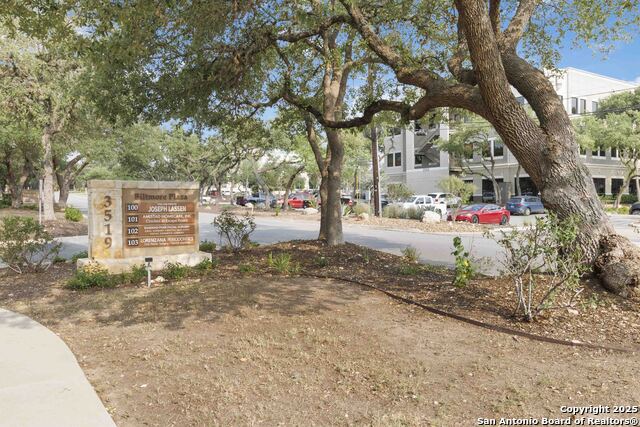 3519 Paesanos Property Photo 26