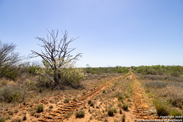 000 Us Hwy 83 Property Photo 12