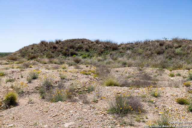 000 Us Hwy 83 Property Photo 14