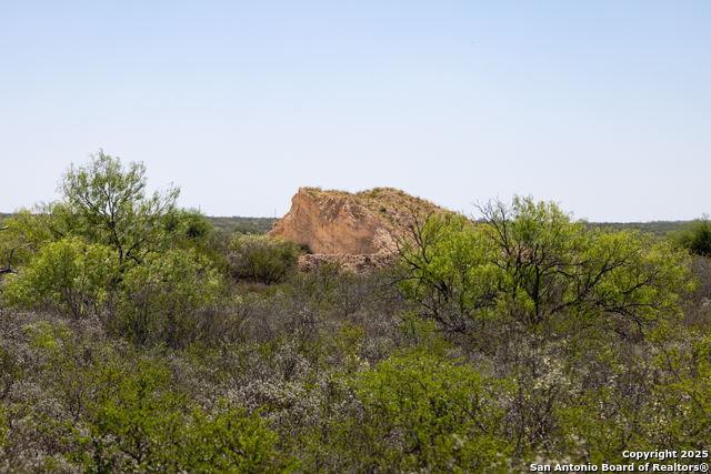 000 Us Hwy 83 Property Photo 18