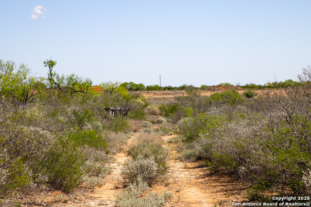 000 Us Hwy 83 Property Photo 19