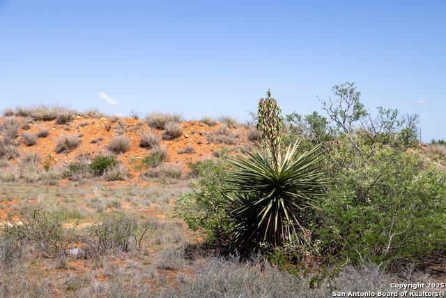 000 Us Hwy 83 Property Photo 22