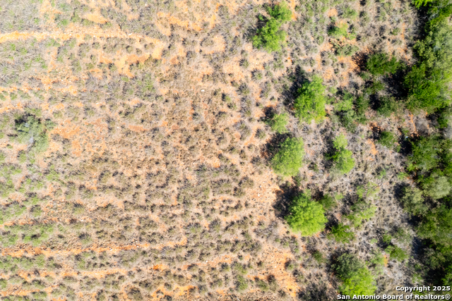 000 Us Hwy 83 Property Photo 34