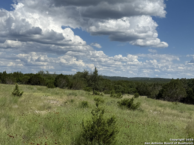 Lots 2 & 3 Horseshoe Bend Property Photo 7
