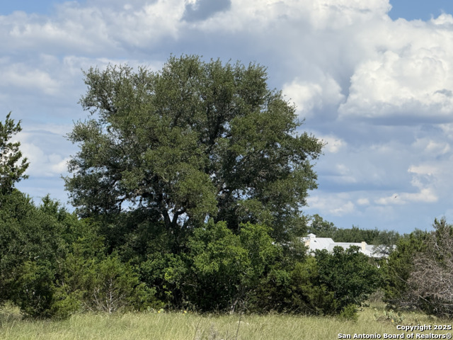Lots 2 & 3 Horseshoe Bend Property Photo 8