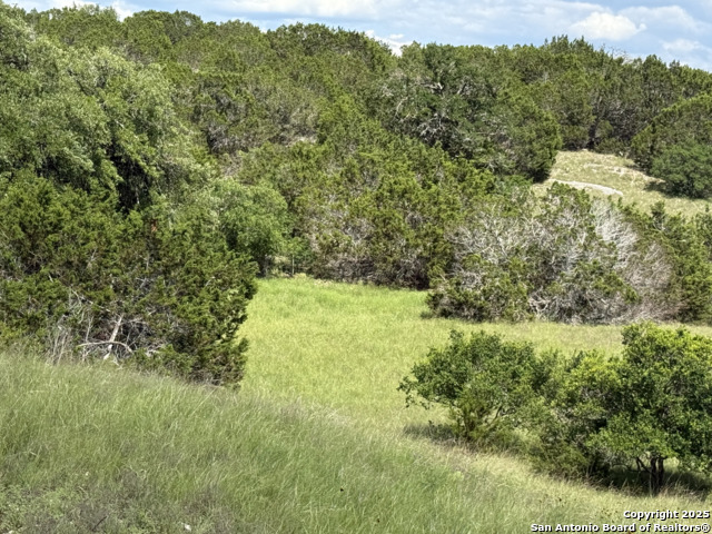 Lots 2 & 3 Horseshoe Bend Property Photo 13