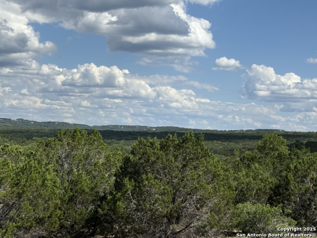 Lots 2 & 3 Horseshoe Bend Property Photo 14