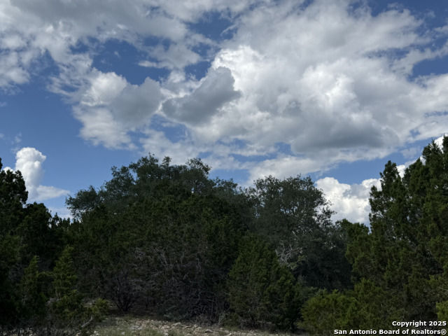 Lots 2 & 3 Horseshoe Bend Property Photo 16