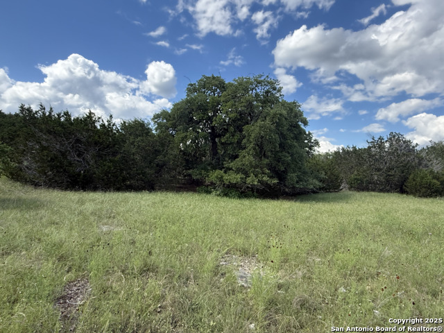 Lots 2 & 3 Horseshoe Bend Property Photo 17