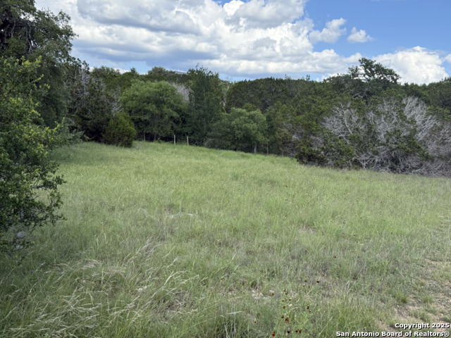 Lots 2 & 3 Horseshoe Bend Property Photo 19