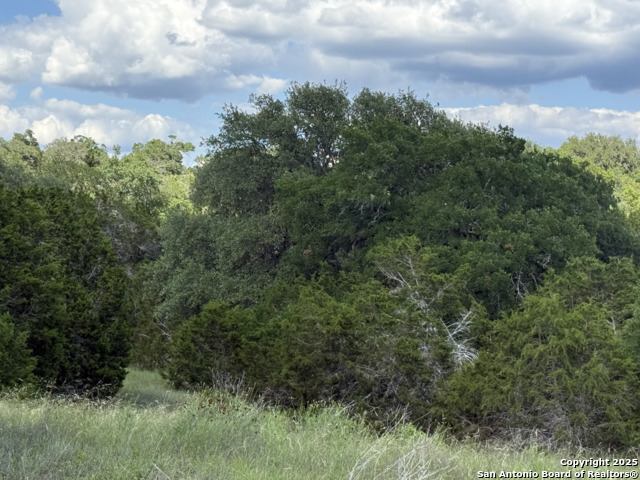 Lots 2 & 3 Horseshoe Bend Property Photo 20