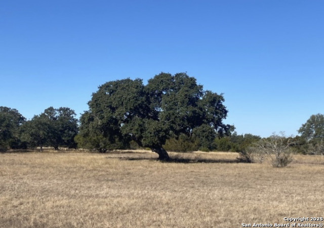 Lot 486 Buckskin Property Photo