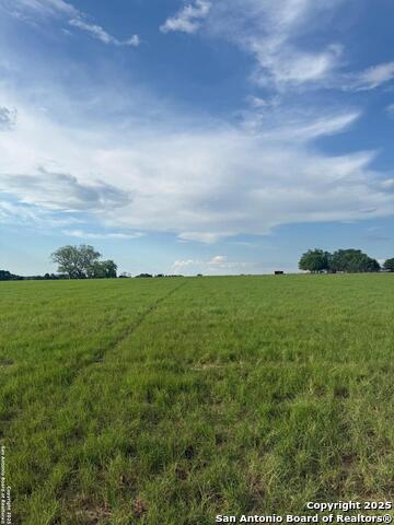 12885 La Vernia Rd Property Photo 17
