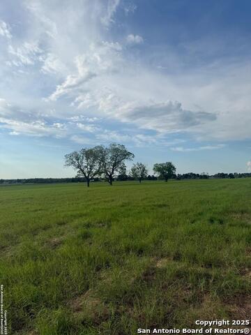 12885 La Vernia Rd Property Photo 18