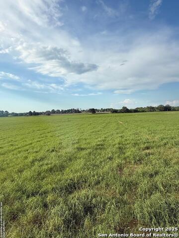 12885 La Vernia Rd Property Photo 22