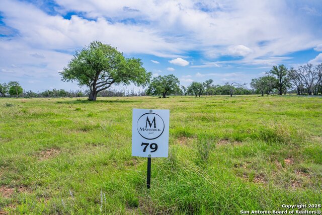 Lot 79 Stock Pond Dr Property Photo
