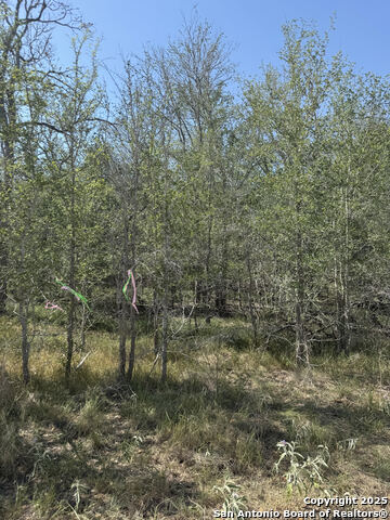 421 Kerr Ave Property Photo 1