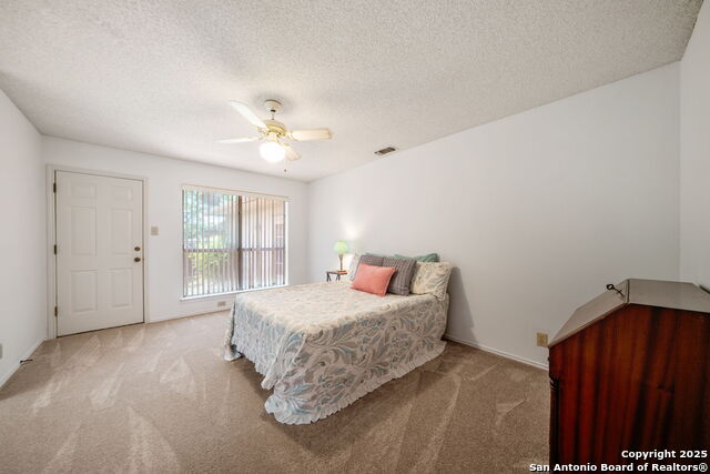 12138 W Lemon Blossom Property Photo 19