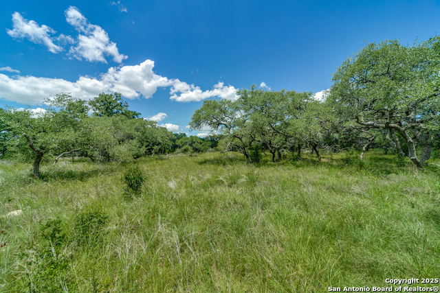 34761 Carries Creek Property Photo