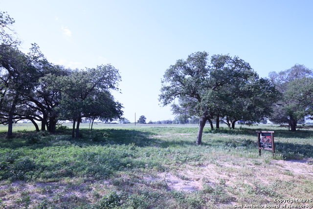 309 Firewheel Loop Property Photo