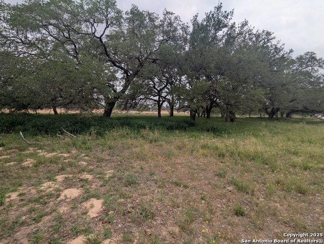 17815 County Rd 163 Property Photo 1