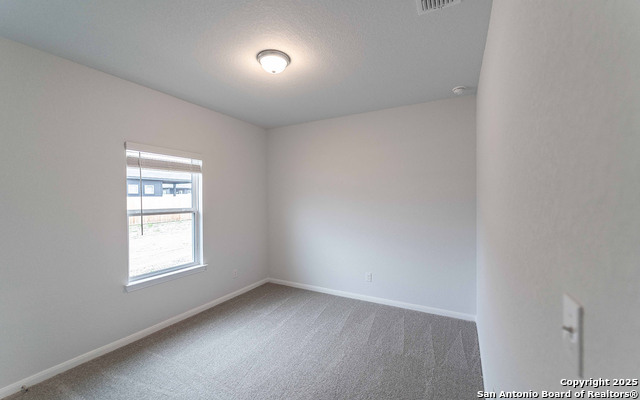 6726 Velma Path Property Photo 11