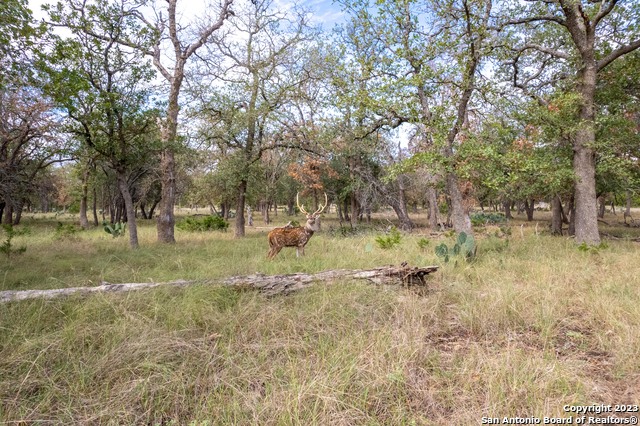 455 HUBBLE LN