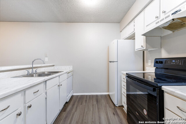 554 Dukeway Property Photo 9