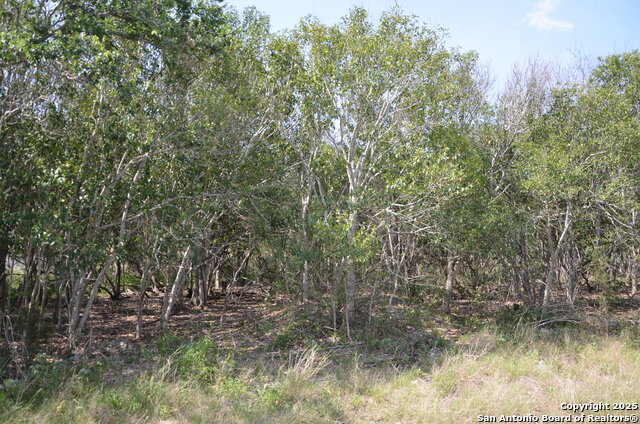 025 Wesp Way Property Photo 1