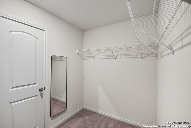 11860 Davalos Ln Property Photo 16