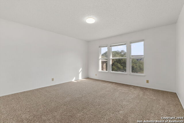 8131 Talkenhorn Property Photo 25