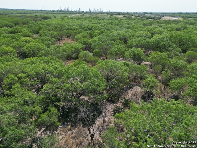 197 County Road 422 Property Photo 8