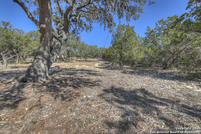 995 Five Oaks Property Photo 30
