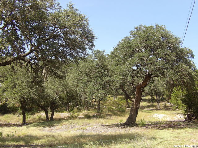 995 Five Oaks Property Photo 37