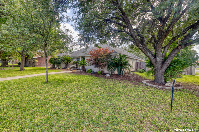 633 Sunrise Ave Property Photo 5