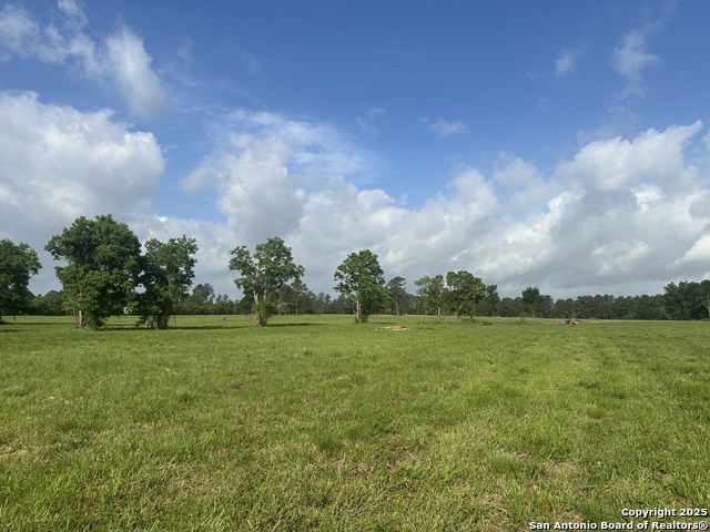 Tbd Cr 4114 Property Photo 1