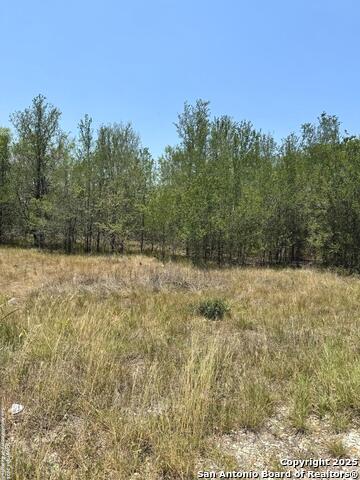 325 County Ave. Property Photo 1