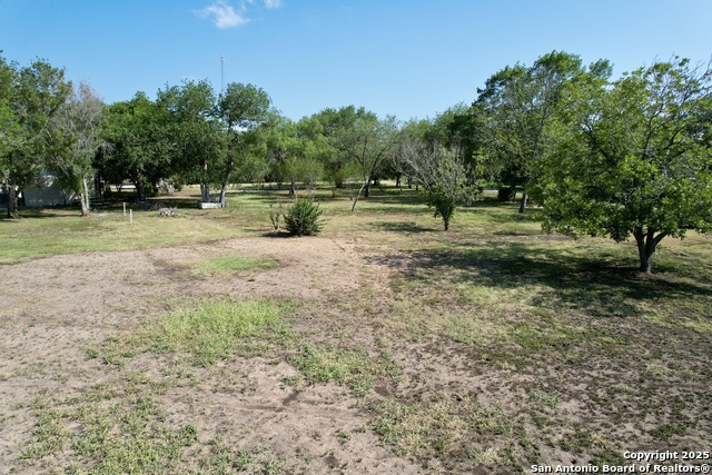 613 Maple Property Photo 6